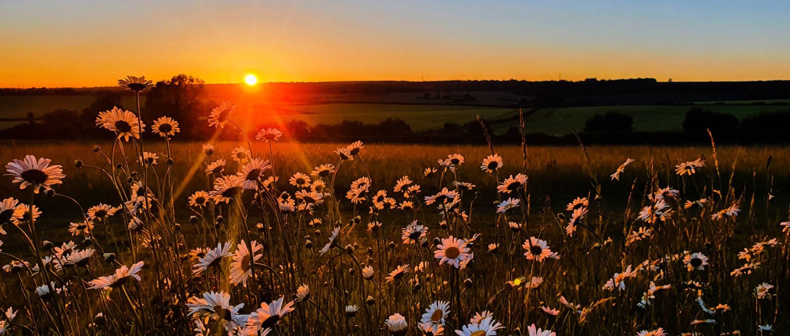 South Downs National Park